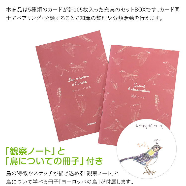 モンテッソーリ 教育解説書|モンテッソーリ メソッドシリーズ