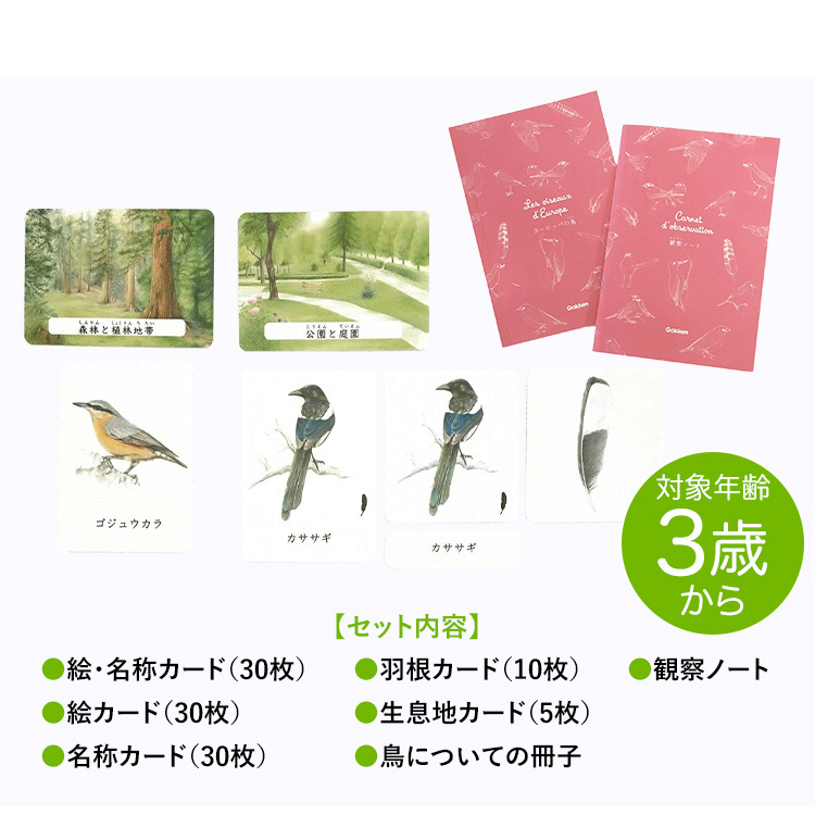 モンテッソーリ 教育解説書|モンテッソーリ メソッドシリーズ