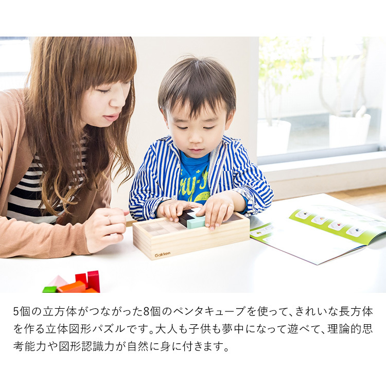学研ステイフル 学研 頭のよくなるペンタキューブ 知育玩具 4歳 5歳 6