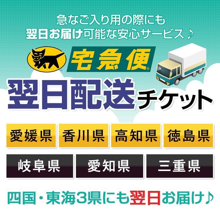 四国・東海3県でお急ぎの方に！ 宅急便翌日配送チケット 愛媛・香川・高知・徳島・岐阜・愛知・三重に翌日お届け | nina's（ファッション） | 01