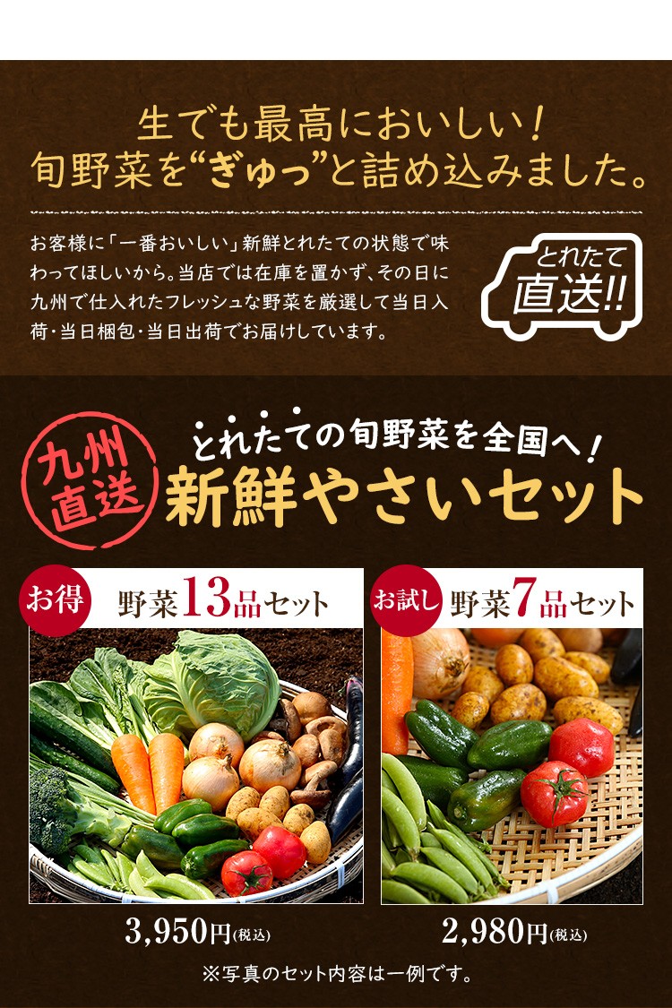 安い購入 宮崎県産朝どれ野菜セット10〜13品 fucoa.cl