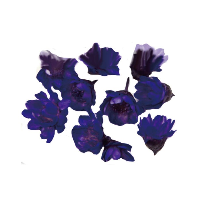 スターフラワー ガラスドーム レジン ネイル 10個入り 押し花 スターフラワー デコ 封入 ドライフラワー 封入 レジン用品 手作り 青 ブルー レジンレシピ ガラス Nns アクセサリーパーツnina Yahoo 店 通販 Yahoo ショッピング