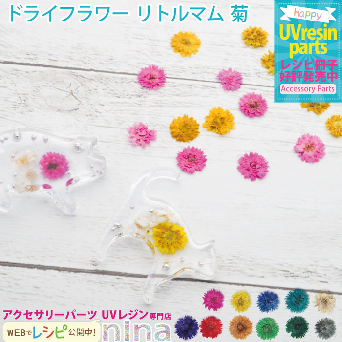 ドライフラワー リトルマム 菊 レジン ネイル 10個入り ドライフラワー グレー リトルマム 灰色 菊 ネイル 花 手作り レジンレシピ ピアス ネックレス 封入 デコ Nns アクセサリーパーツnina Yahoo 店 通販 Yahoo ショッピング