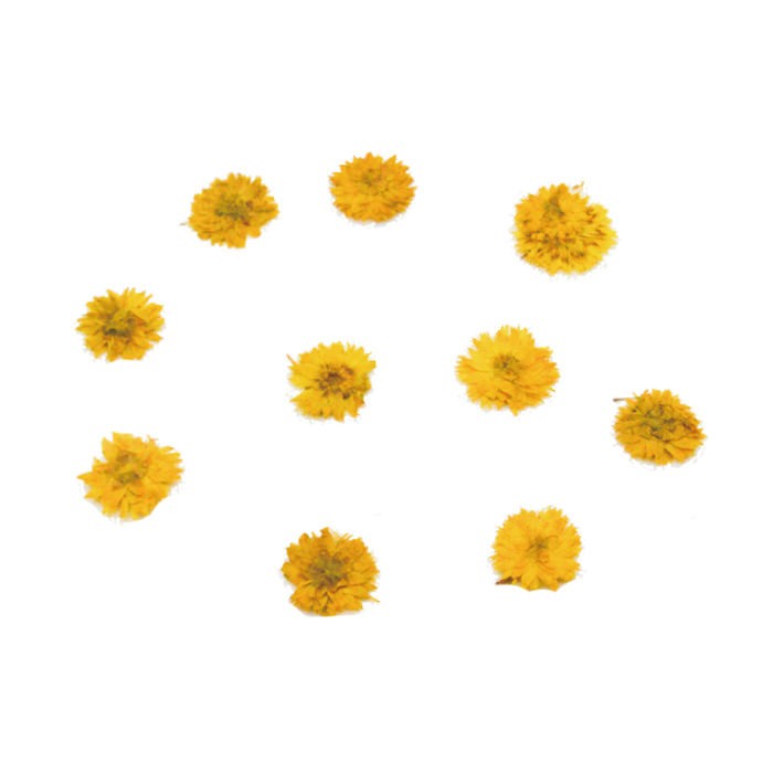 ドライフラワー リトルマム 菊 レジン ネイル 10個入り ドライフラワー グレー リトルマム 灰色 菊 ネイル 花 手作り レジンレシピ ピアス ネックレス 封入 デコ Nns アクセサリーパーツnina Yahoo 店 通販 Yahoo ショッピング ドライフラワー リトルマム 菊 レジン ネイル 10個入り ドライフラワー グレー リトルマム 灰色 菊 ネイル 花 手作り レジンレシピ ピアス ネックレス 封入 デコ Nns アクセサリーパーツnina Yahoo 店 通販 Yahoo ショッピング