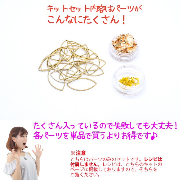 激安正規 プードル ファー メタル ピアス 1ペア 2個入 金具 パーツ 手芸 シック レジン フレーム 大人 カジュアル アクセサリー ゴールド Riosmauricio Com