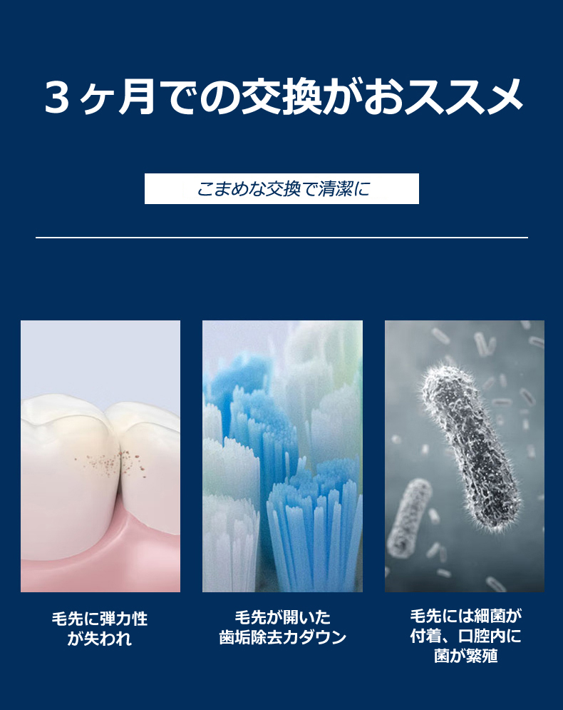 替えブラシ 電動歯ブラシ フィリップス ソニッケアー 用 互換ブラシ HX6024 HX6028 ベーシック ミニサイズ 8本入｜ninestars｜08