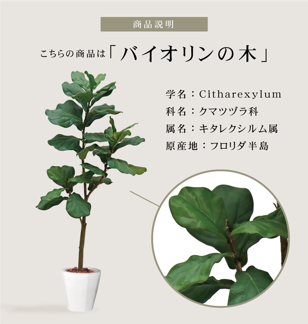 観葉植物 フェイクグリーン 人工観葉植物 バイオリンの木 造花 おしゃれ ツリー 店舗装飾 黒鉢付 大型 フェイク グリーン インテリア 150cm  屋外 :1007:恵月人形本舗 - 通販 - Yahoo!ショッピング