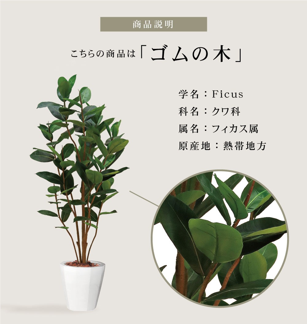 観葉植物 フェイクグリーン 人工観葉植物 ゴムの木 造花 おしゃれ ツリー 店舗装飾 黒鉢付 大型 フェイク グリーン インテリア 150cm 屋外  :1012:恵月人形本舗 - 通販 - Yahoo!ショッピング