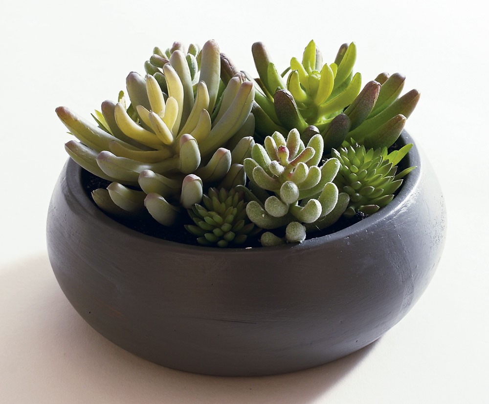 人工観葉植物 フェイクグリーン 観葉植物 造花 多肉植物 陶器鉢付 卓上