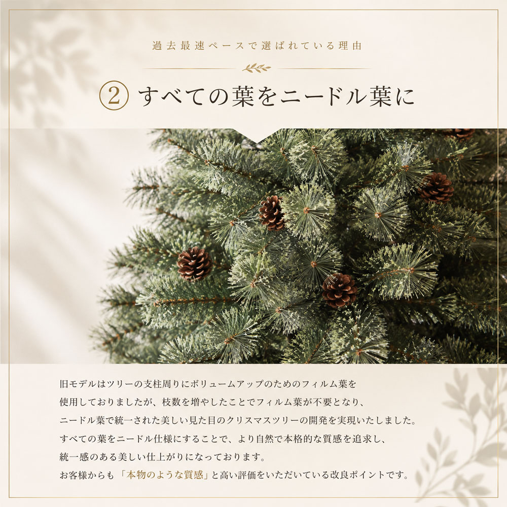 コニファー、針葉樹（針葉樹種類：もみの木）｜苗木、植木｜花