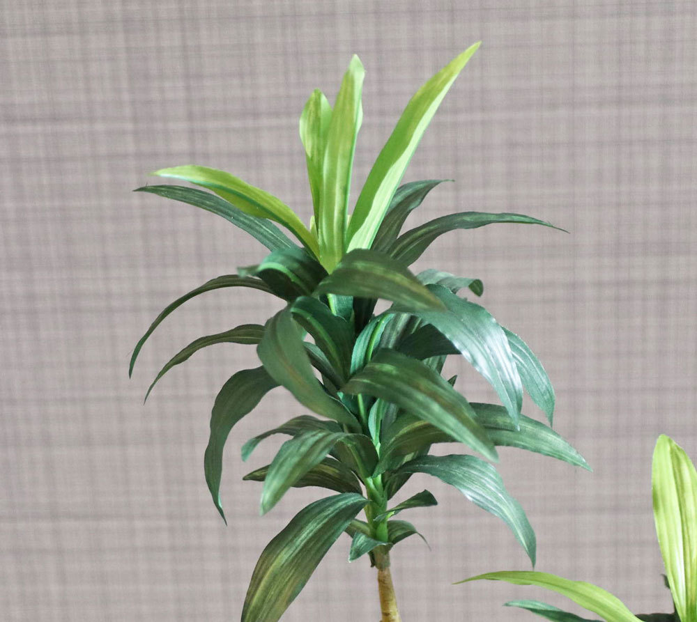 光触媒　人工観葉植物　フェイクグリーン　ドラセナコンパクタ1.25 フェイクグリーン 光触媒ドラセナ1.25m 送料無料 - 【造花の専門店