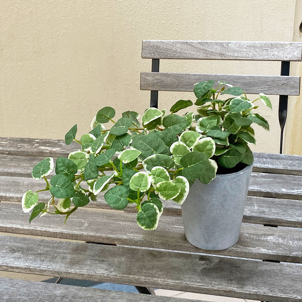 観葉植物 フェイクグリーン 人工観葉植物 プミラ ミニ 卓上 小物 置物 造花 おしゃれ ツリー 店舗装飾 鉢付 小型 フェイク グリーン インテリア  24cm :gla1529-gr:恵月人形本舗 通販 