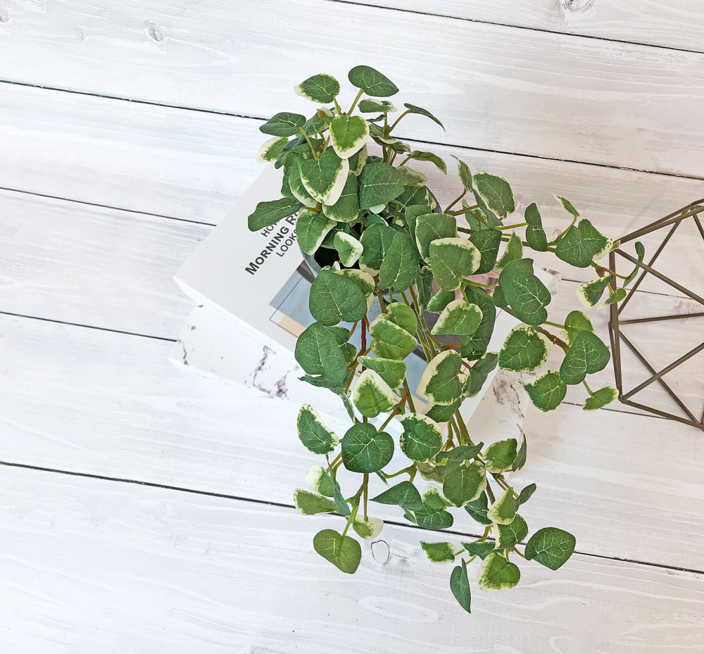 観葉植物 フェイクグリーン 人工観葉植物 プミラ ミニ 卓上 小物 置物 造花 おしゃれ ツリー 店舗装飾 鉢付 小型 フェイク グリーン インテリア  24cm :gla1529-gr:恵月人形本舗 通販 