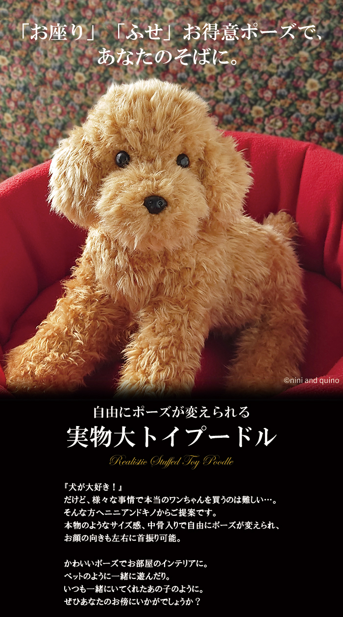 実物大 ポーズが変えられる トイプードル(アプリコット レッド) ぬいぐるみ 犬 リアル 本物 そっくり :n-nq-tp33-ap:ニニアンドキノ  Yahoo!店 - 通販 - Yahoo!ショッピング