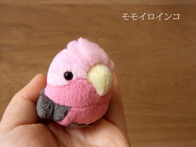 ぬいぐるみ✽アートドール✽インコのぴっぴちゃん✽大サイズ TST 可愛い鳥 ストラップ ぬいぐるみ】鳥 インコ リアル 本物