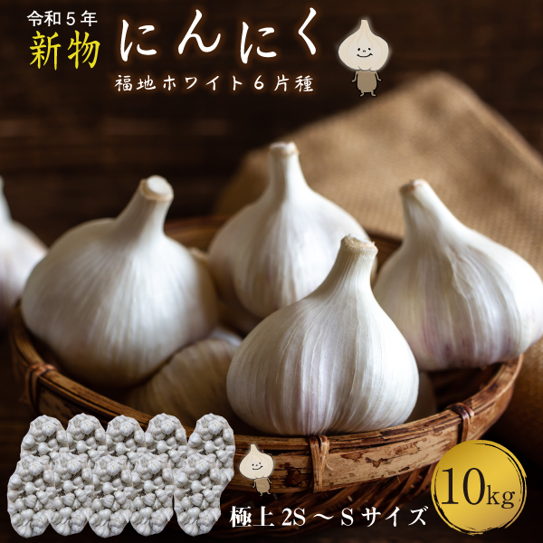 青森 にんにく10kg SSサイズ 約300-350玉 福地ホワイト6片 国産 ニンニク 新物 送料無料 Y常