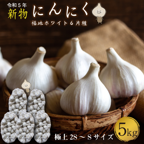 青森 にんにく5kg SSサイズ 約150-175玉 福地ホワイト6片 国産