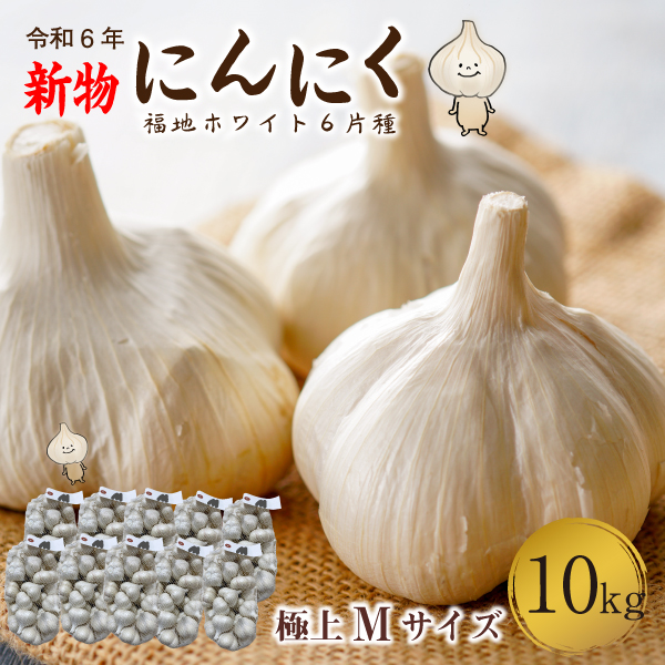 青森 にんにく10kg Mサイズ 約200玉 福地ホワイト6片 国産 ニンニク 新物 送料無料 Y常 : m-garlic10 : にんにく畑ヤフー店  - 通販 - Yahoo!ショッピング