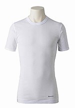 アサメリー 紳士 2本ゴムブリーフ（M/L） : NIPPIN Yahoo!ショップ