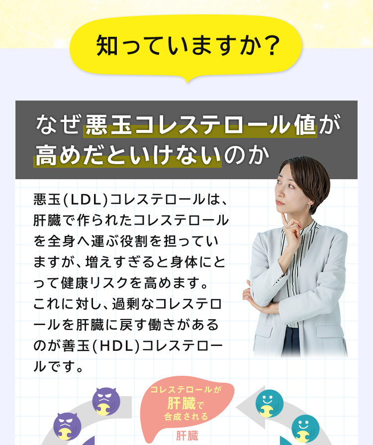 LP画像
