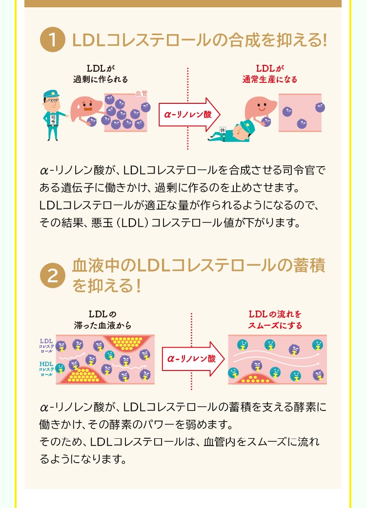 LP画像