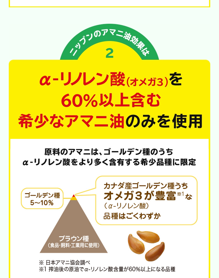 LP画像