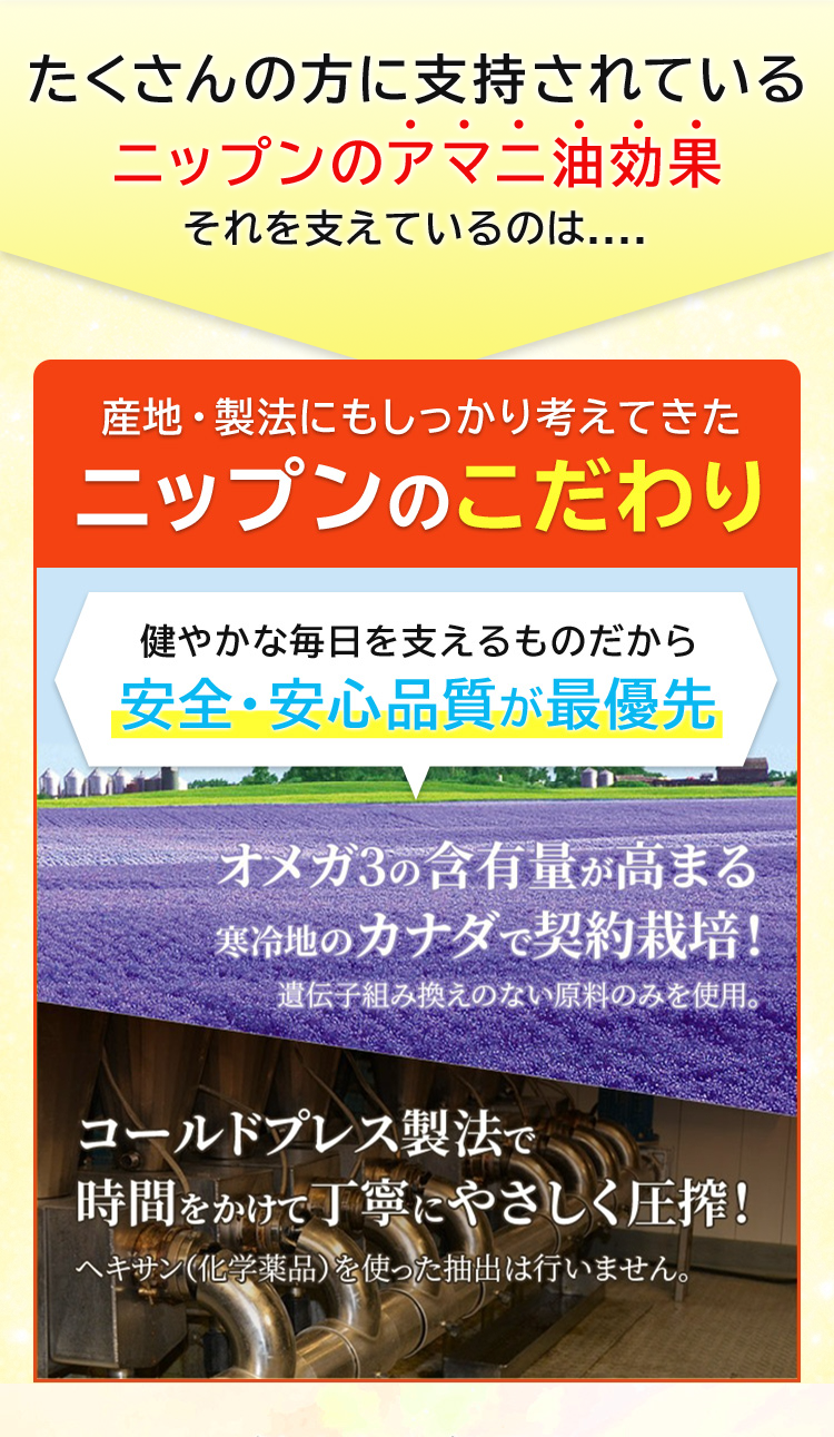 LP画像