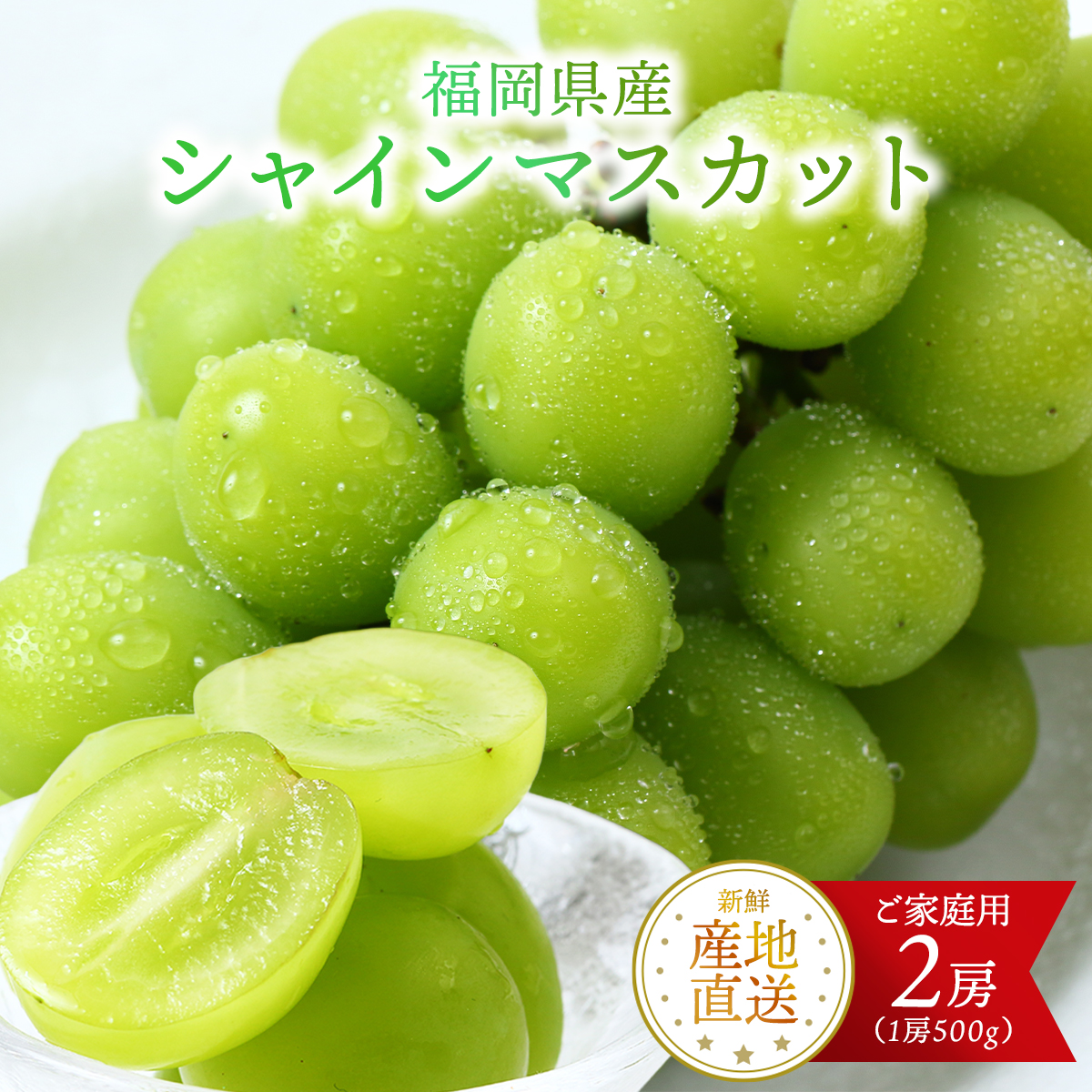 送料無料 福岡県産 シャインマスカット 500g×2房 ご家庭用 【発送時期