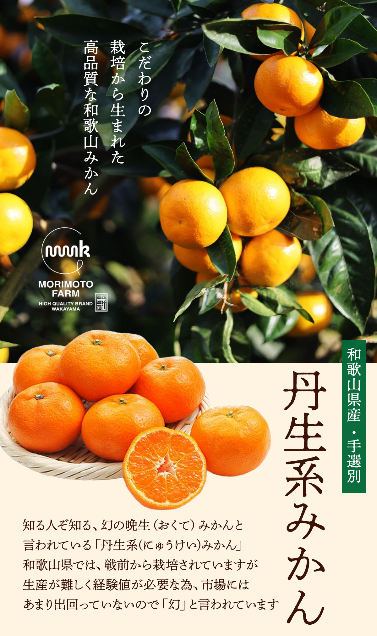 和歌山県産みかん 2kg 送料無料 [森本農園] 丹生系みかん 秀・優混合SS