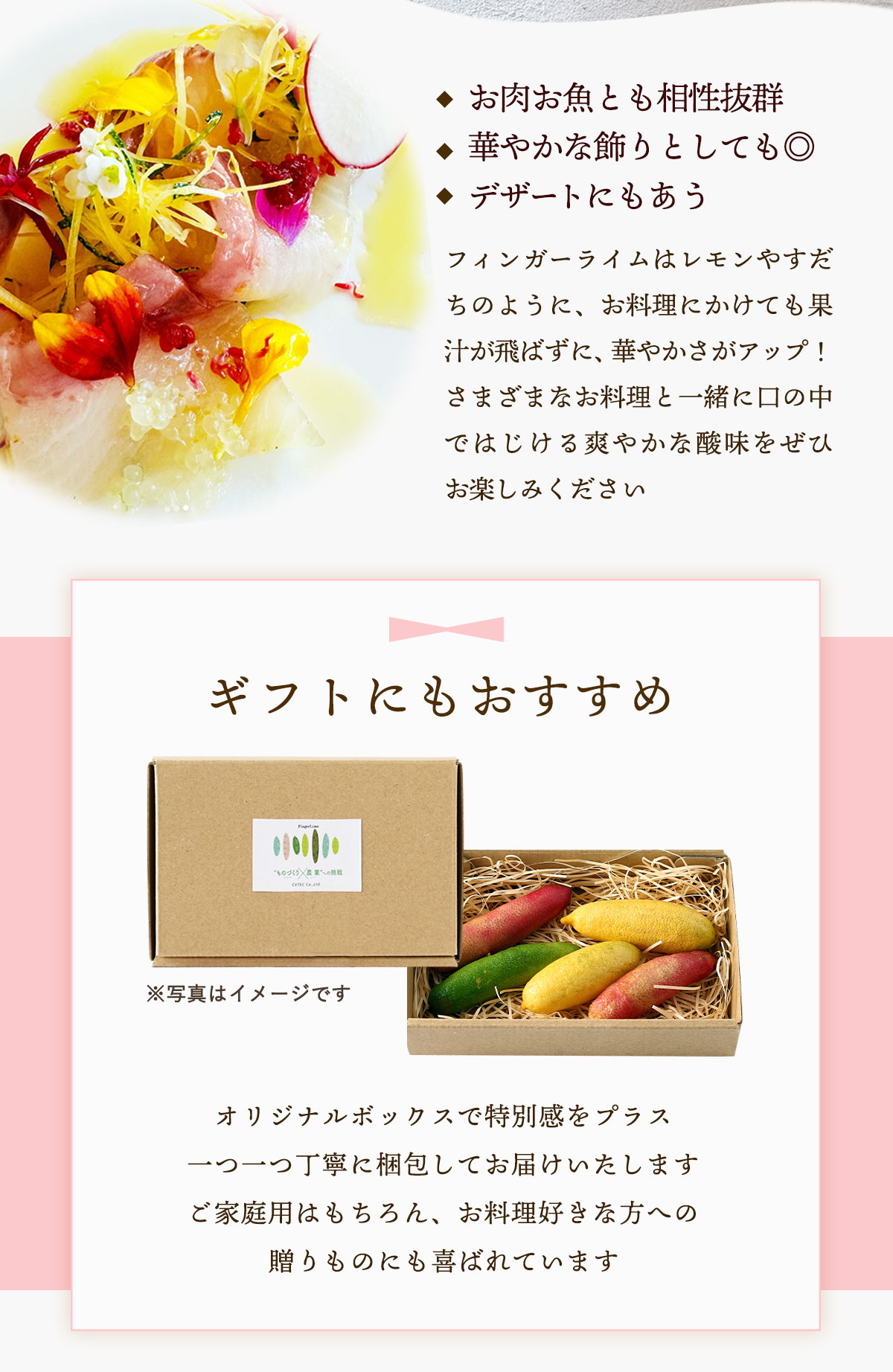 送料無料 シーヴイテック フィンガーライム 80g(4〜7本) 【発送:7月