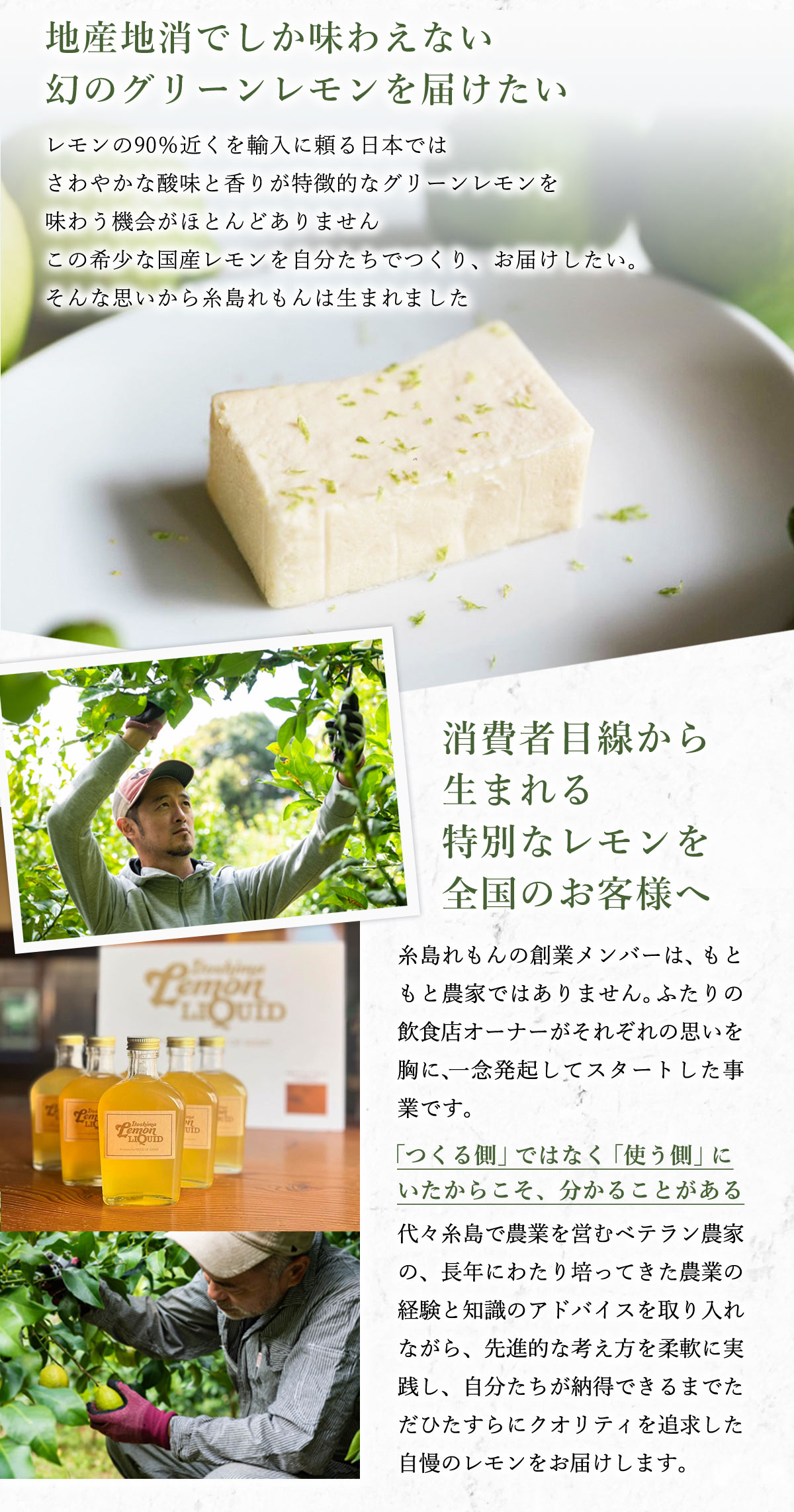 レモン 3kg 送料無料 [糸島れもん] 糸島レモン 等級A /糸島
