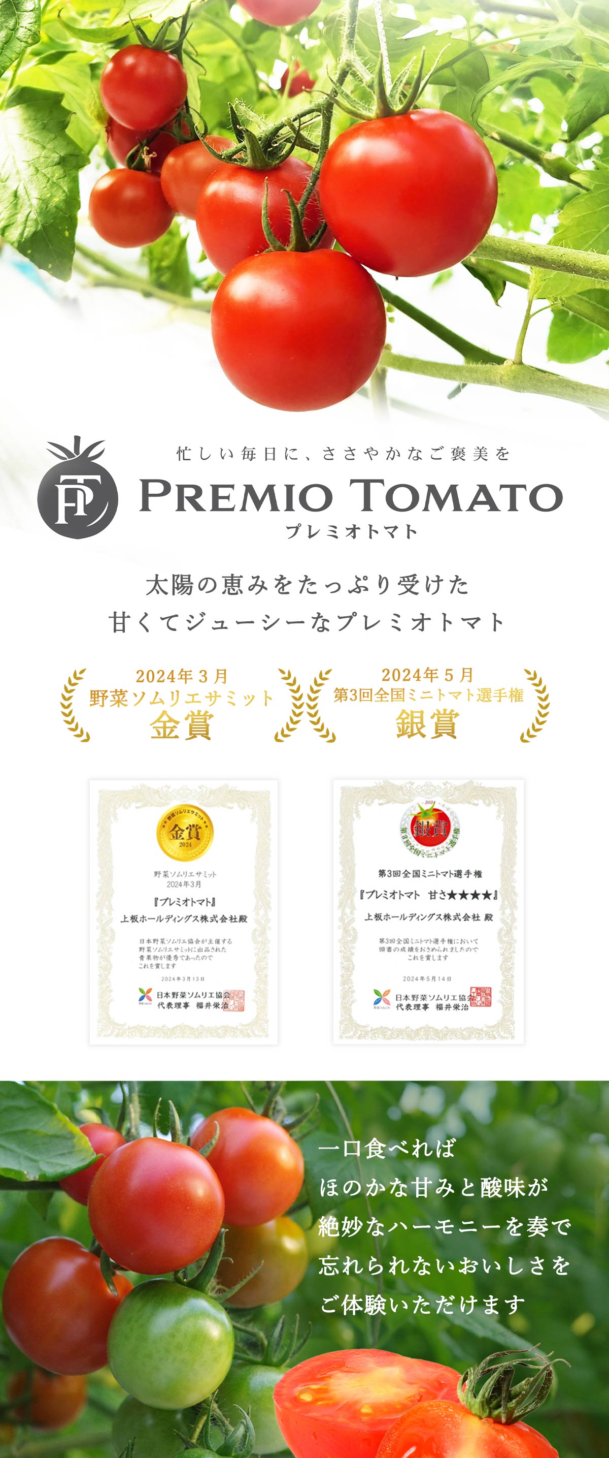 冷凍ミニトマト 1kg 上板ホールディングス プレミオトマト 冷凍