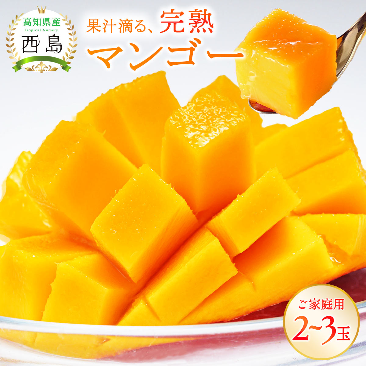 高知県産マンゴー 西島園芸団地 ご家庭用 マンゴー 2玉〜3玉 【発送