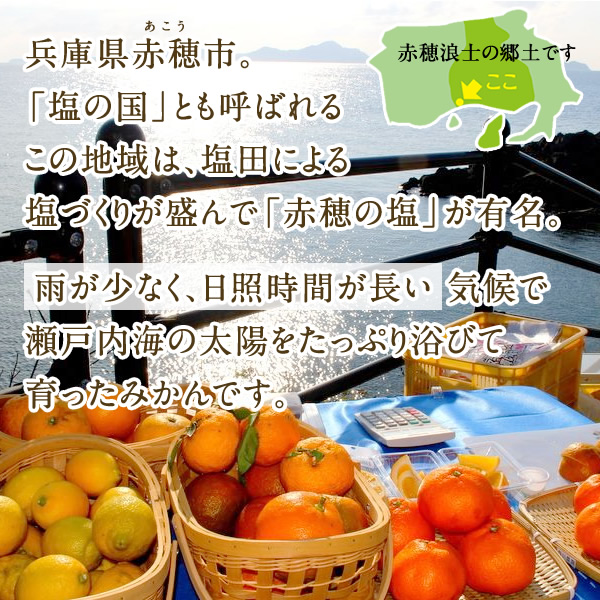 味ピカみかん（約5kg）箱 アークスオンラインショップ Arcs