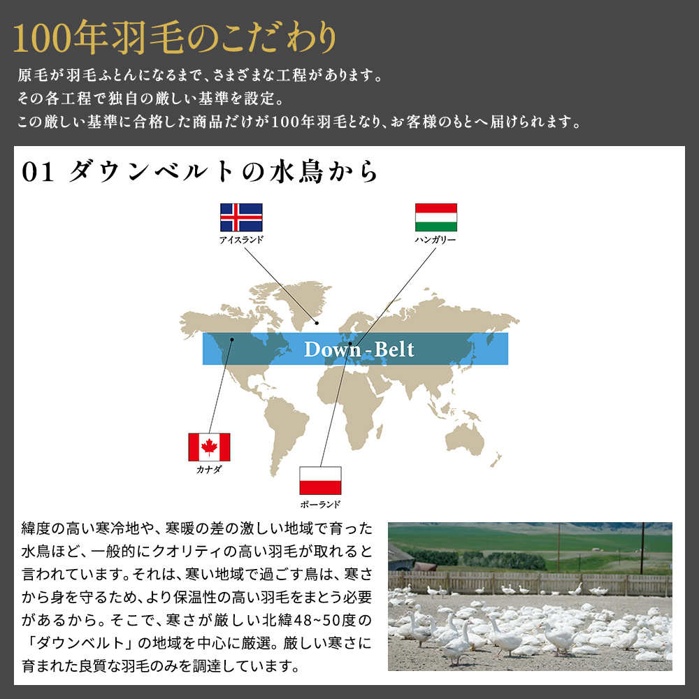 西川 100年羽毛 羽毛肌掛けふとん 春夏用 昭和西川 ソリッド 80サテン