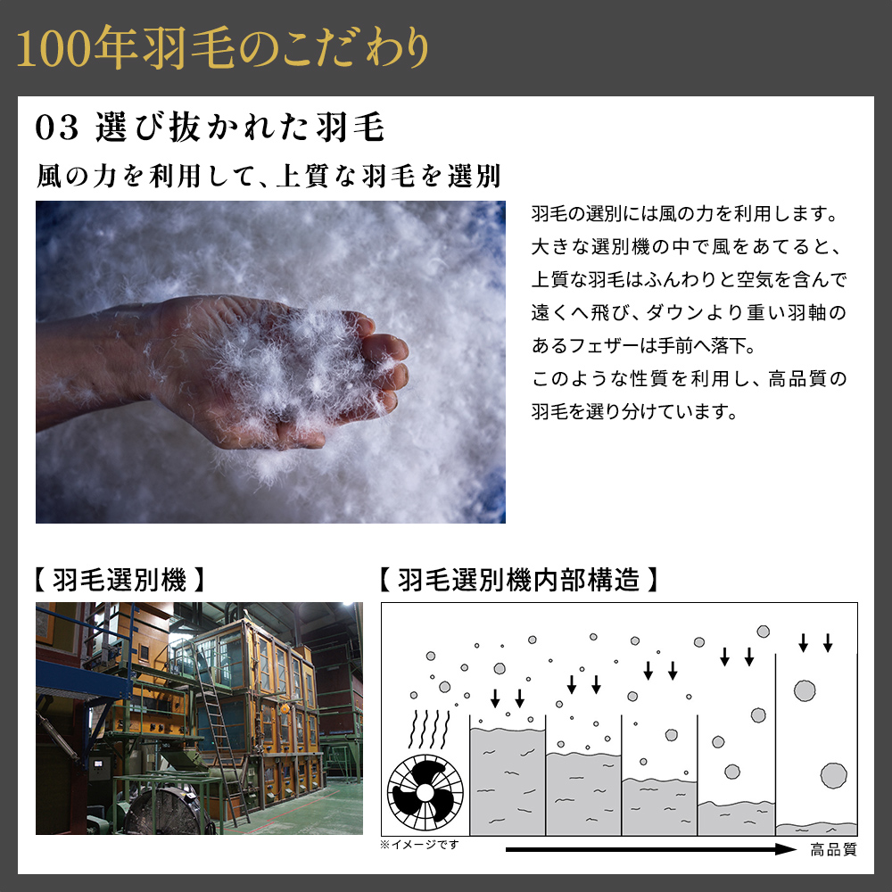 西川（nishikawa） 100年羽毛 羽毛肌掛けふとん 春夏用 昭和西川