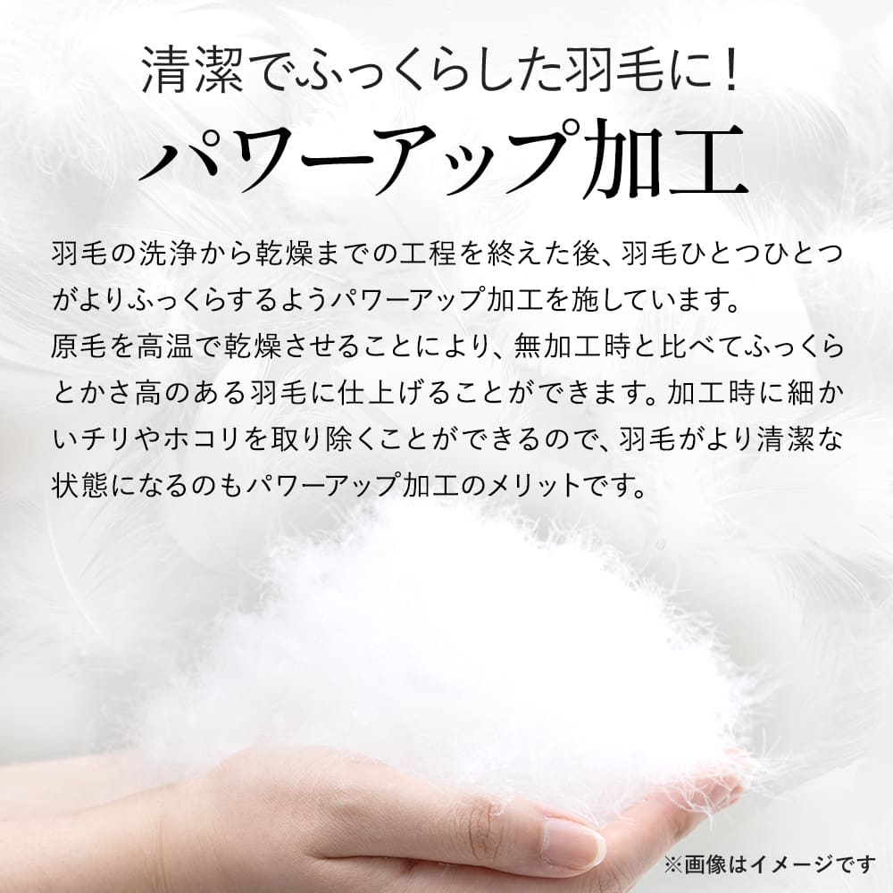 西川（nishikawa） 羽毛布団 シングル 昭和西川 日本製 羽毛ふとん