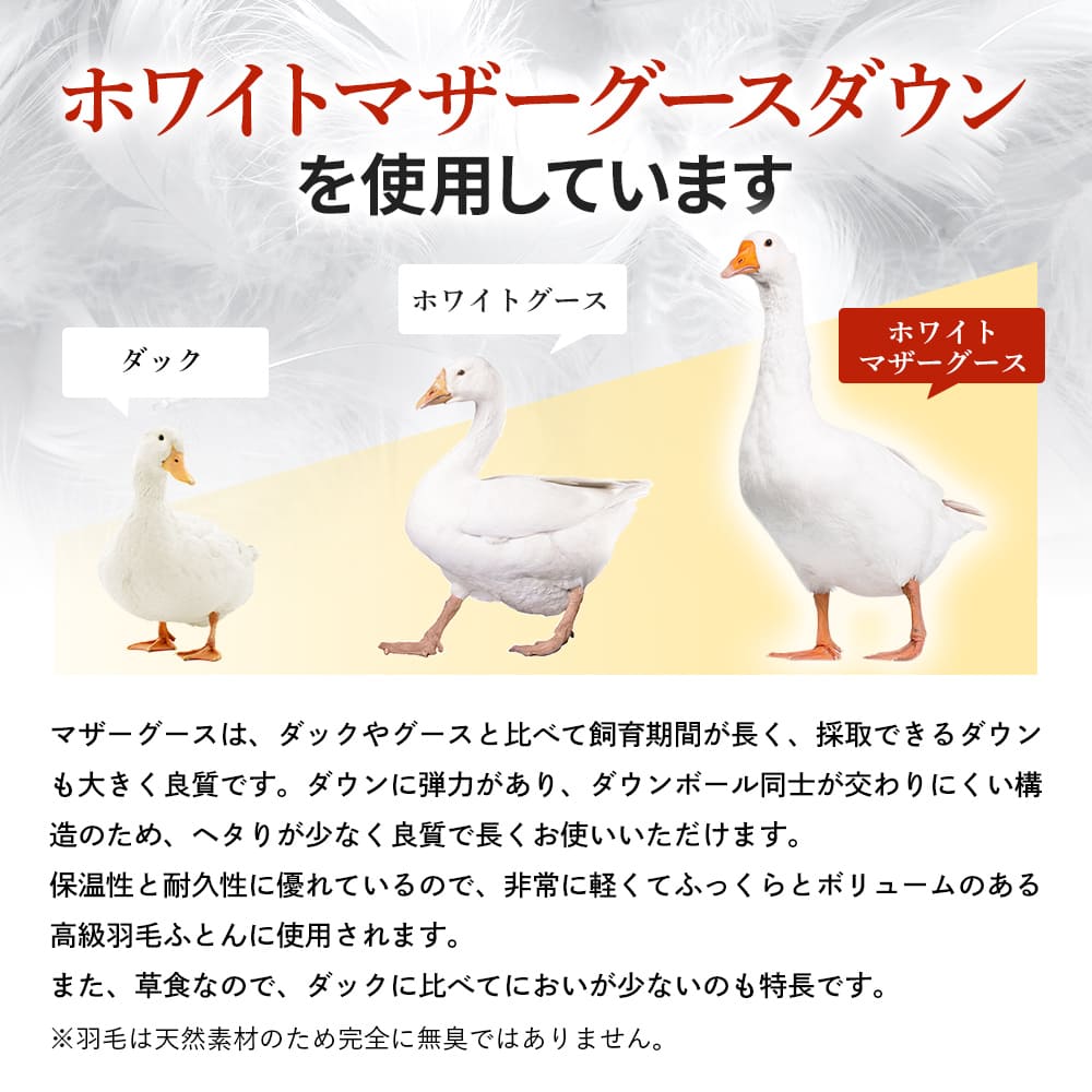 西川（nishikawa） 福袋 2026年 羽毛ふとん シングル 昭和西川公式