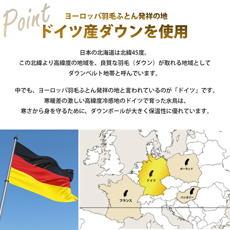 羽毛肌掛け布団 春夏ふとん 日本製 昭和西川直営 ドイツグース93％ シングルロング サイズ 150×210cm 重量0.3kg 400ダウンパワー