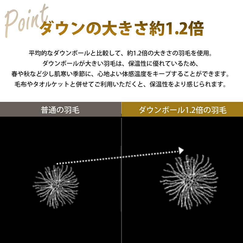 羽毛肌掛け布団 春夏ふとん 日本製 昭和西川直営 ドイツグース93％ シングルロング サイズ 150×210cm 重量0.3kg 400ダウンパワー