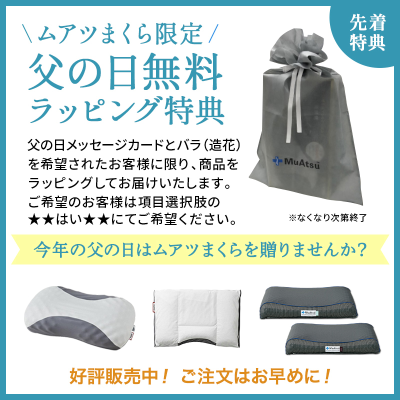 西川 枕 まくら ムアツまくら MP2100 約60×37cm 昭和西川公式