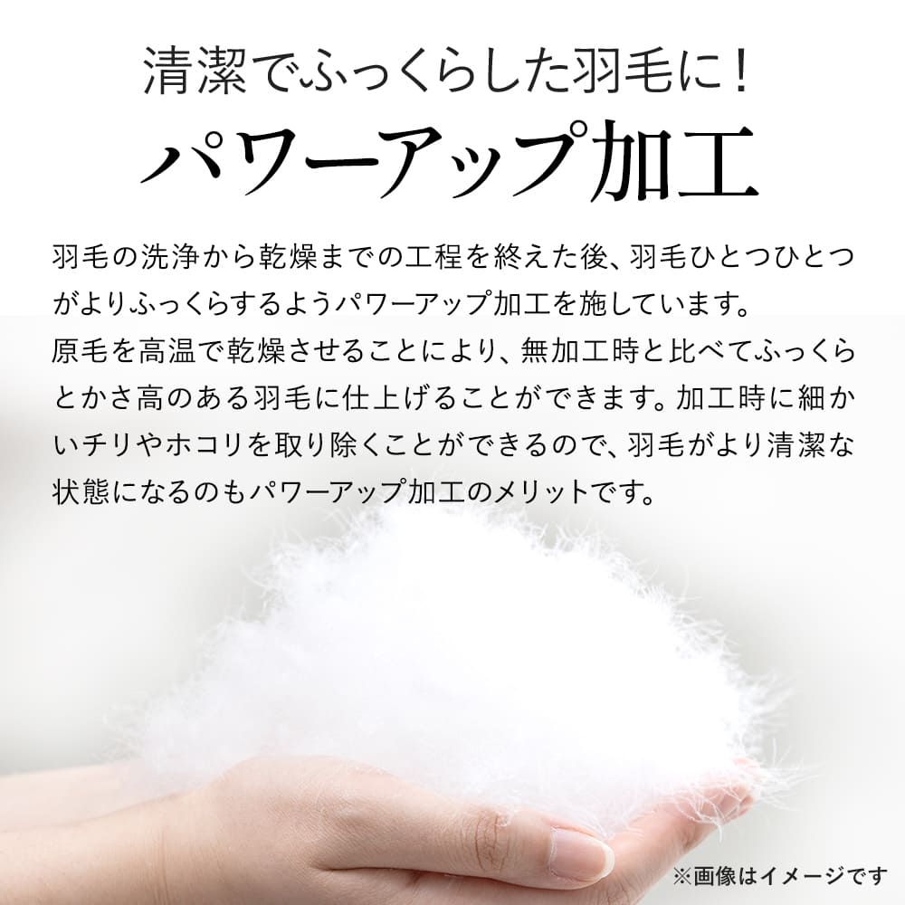 福袋 2026年 羽毛ふとん シングル ロング 新春 福袋 昭和西川公式 フランス産 ホワイトダック90％  サイズ150×210cm 1.1kg 羽毛布団 | 西川 | 04