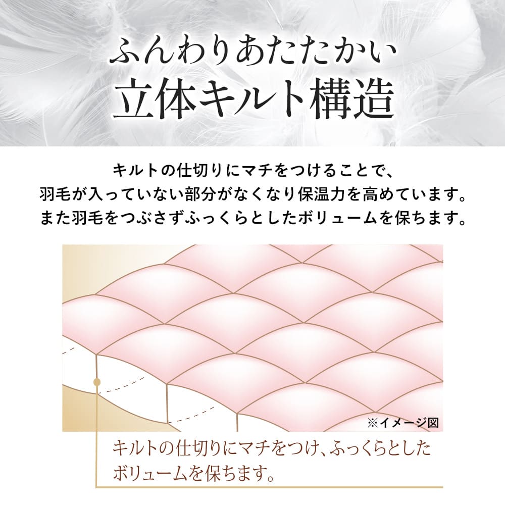西川（nishikawa） 福袋 2026年 羽毛ふとん シングル ロング 新春 福袋