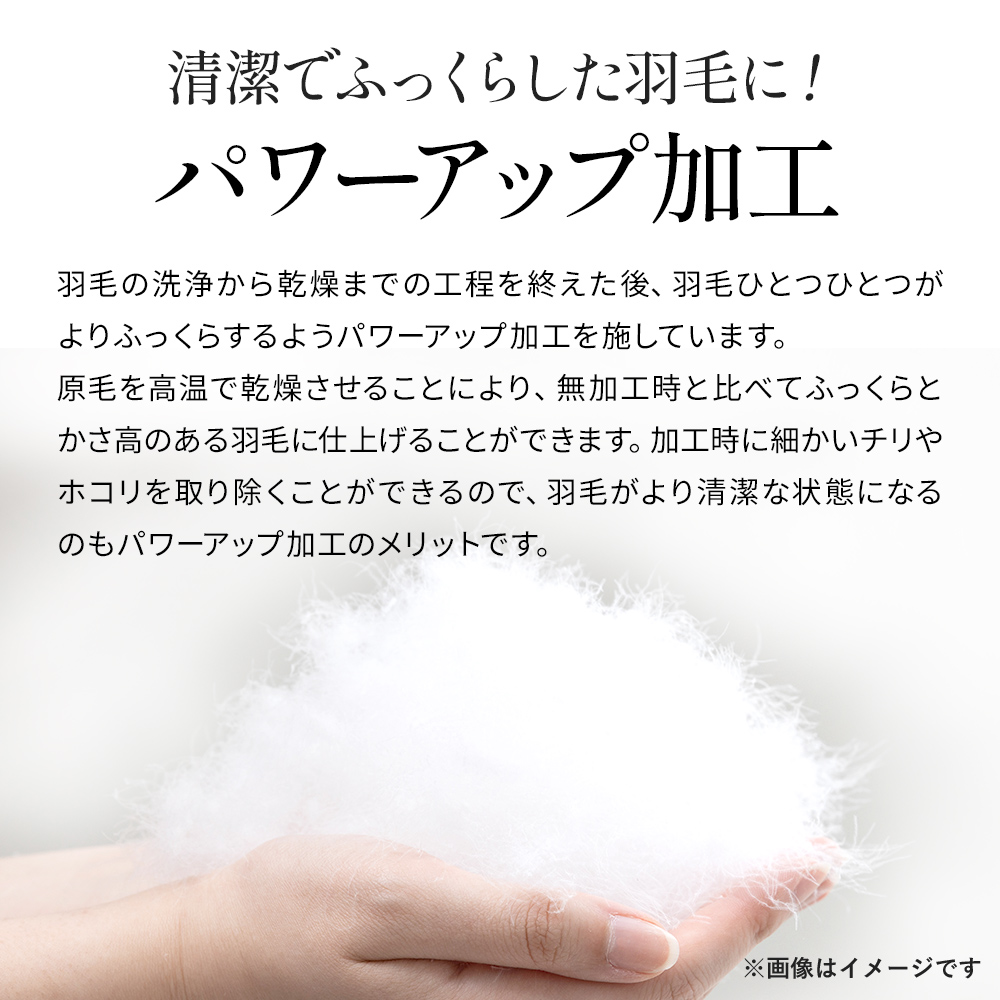 西川（nishikawa） 羽毛布団 シングル ロング 羽毛ふとん 昭和西川
