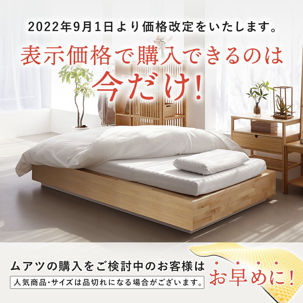 ✨限定モデル✨ 【昭和西川】Sleep spa ムアツふとんスタンダードsp-2