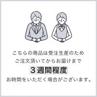 100年羽毛 羽毛合掛けふとん 春秋用 マンションおすすめ 昭和西川 ソリッド 330サテン カナダ産コロニアルアークティックグースダウン95％ SLの画像
