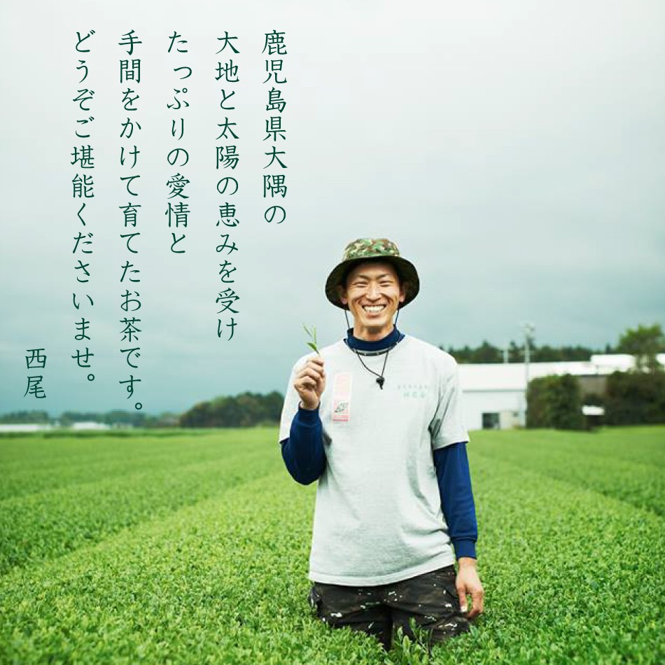 かのや深蒸し茶 山霧（やまぎり）100g×2袋セット 減農薬栽培茶