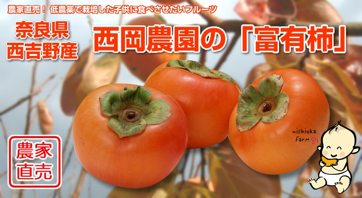 ≪送料無料≫ 奈良県西吉野産 農家直売の富有柿 贈答用(2L〜3L) 5Kg （15〜16個入り） :fuy-z02:西岡農園 - 通販 -  Yahoo!ショッピング