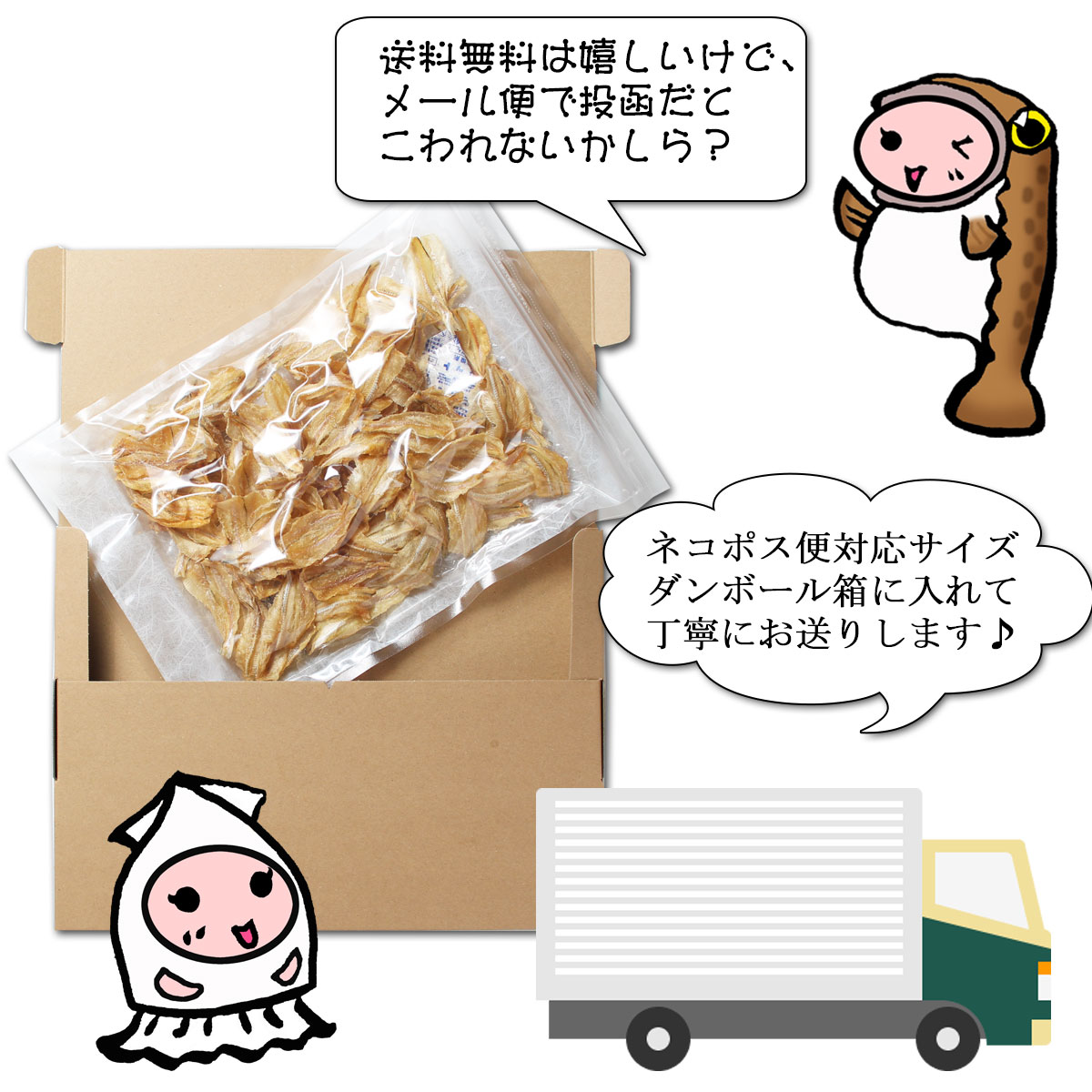 ネコポス用ダンボール