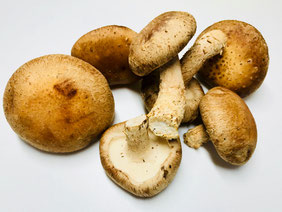 よくあるご質問